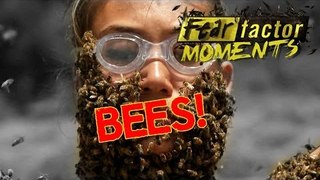 Fear Factor Moments | Bee-Ware