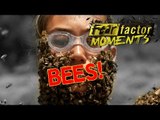 Fear Factor Moments | Bee-Ware