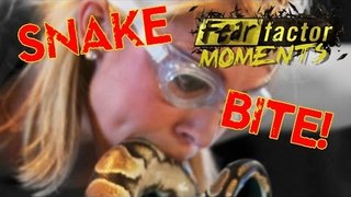 Fear Factor Moments | Snake Mouth Snatch