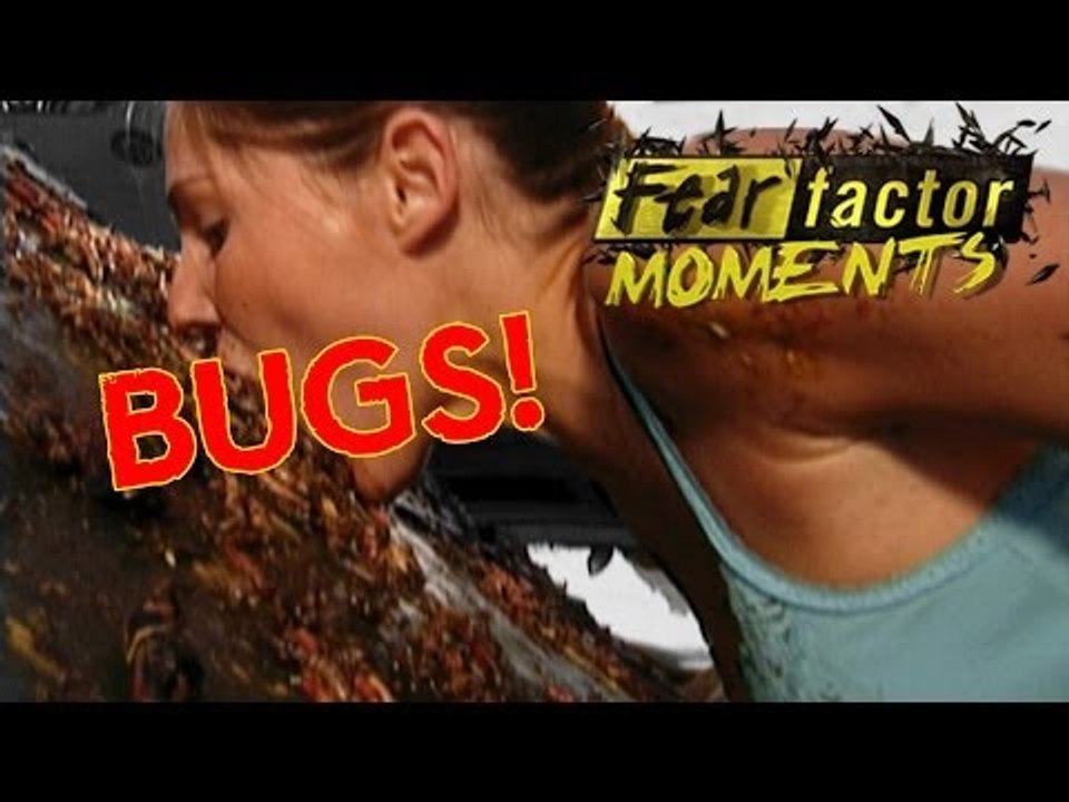 Fear Factor Moments | Bug Windshield