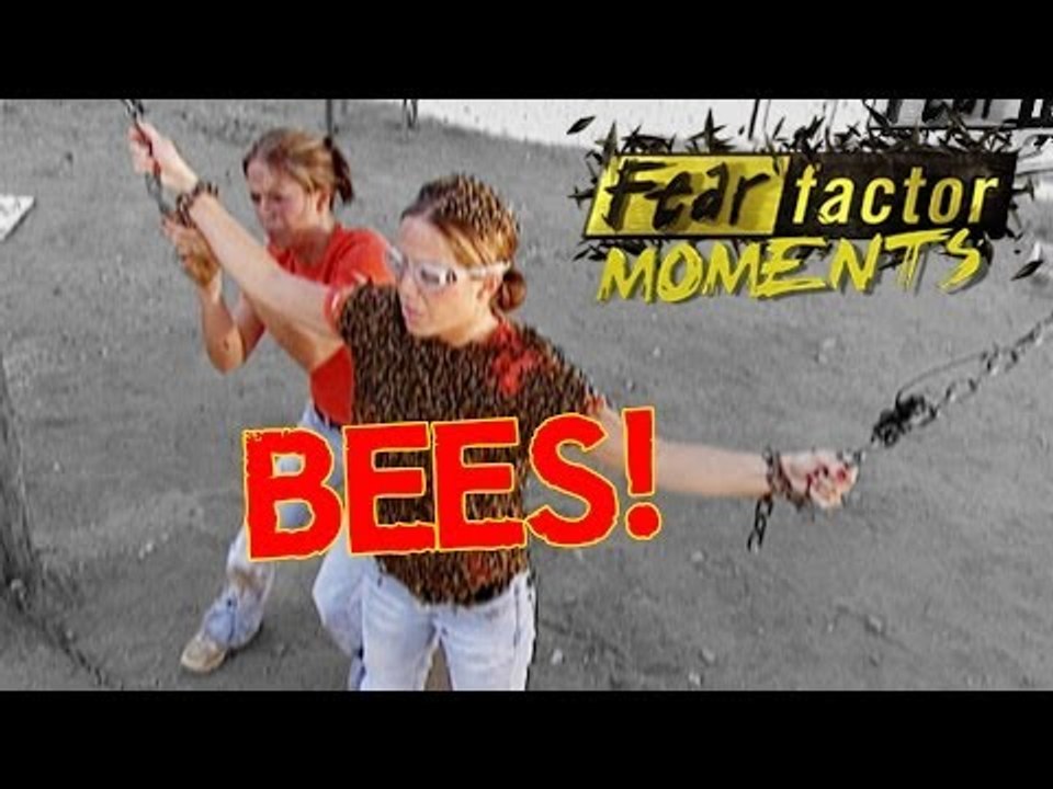 Fear Factor Moments | Bee Escape