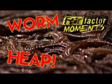 Fear Factor Moments | Earthworm Head Heap