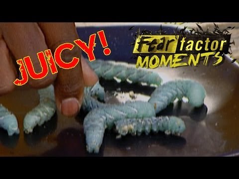 Fear Factor Moments - Tomato Horn Worms