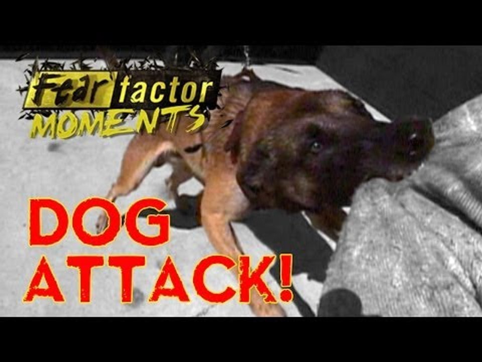 Fear Factor Moments | Junkyard Dog Maze