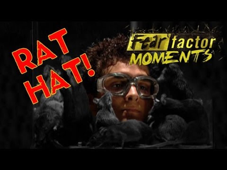 Fear Factor Moments | Rat Hat
