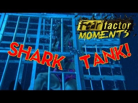 Fear Factor Moments | Shark Cage Escape
