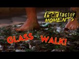 Fear Factor Moments | Glass Walk