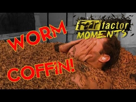 Fear Factor Moments | Worm Coffin