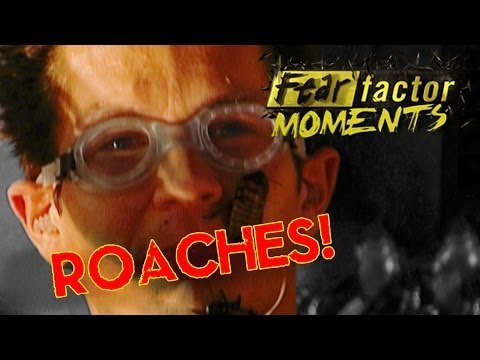 Fear Factor Moments | Roach Coffin