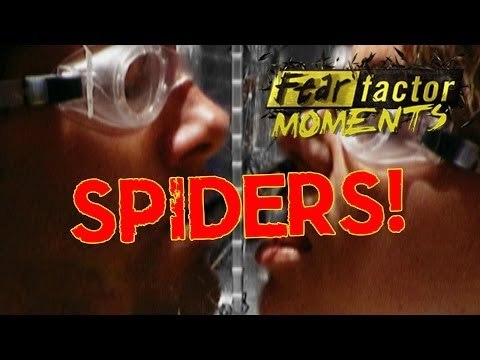 Fear Factor Moments | Spider Head Game