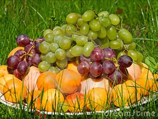 Allan Bleck. Le petit noir qui marchait sur les mains