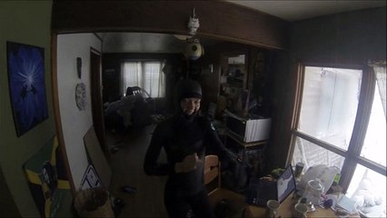 Holy Cow, Check Out The Giant Snow Wall Swallowing Buffalo