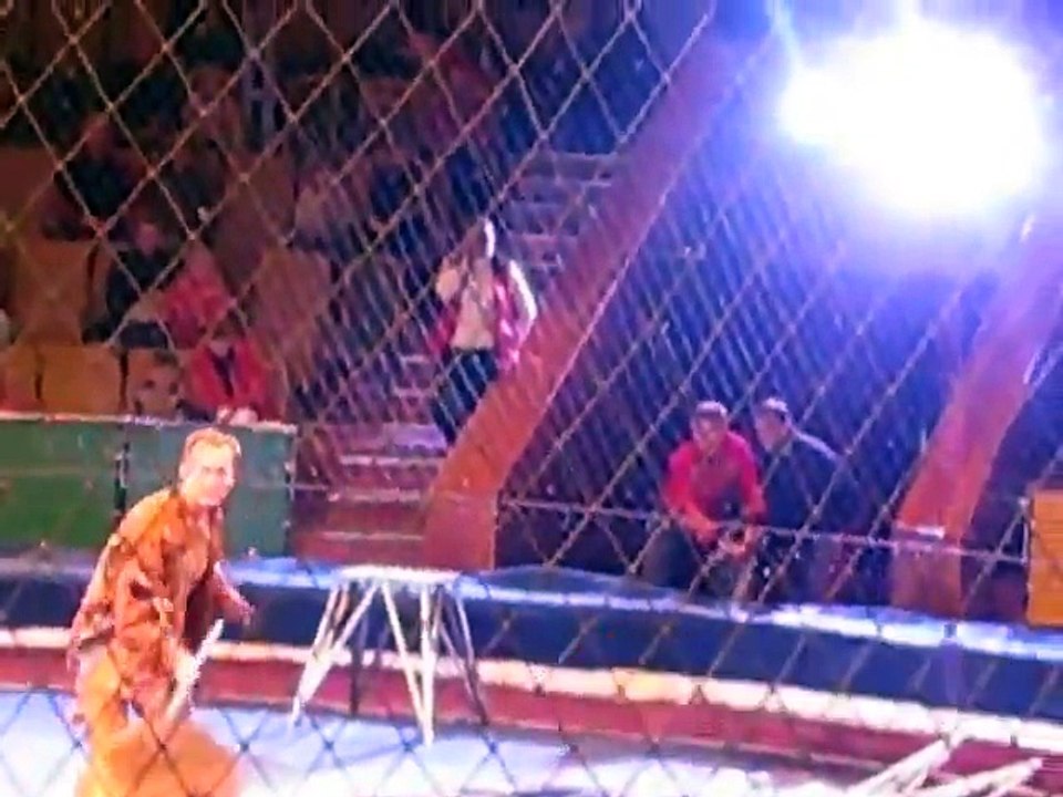 Circus Lion Attack Men Horrible