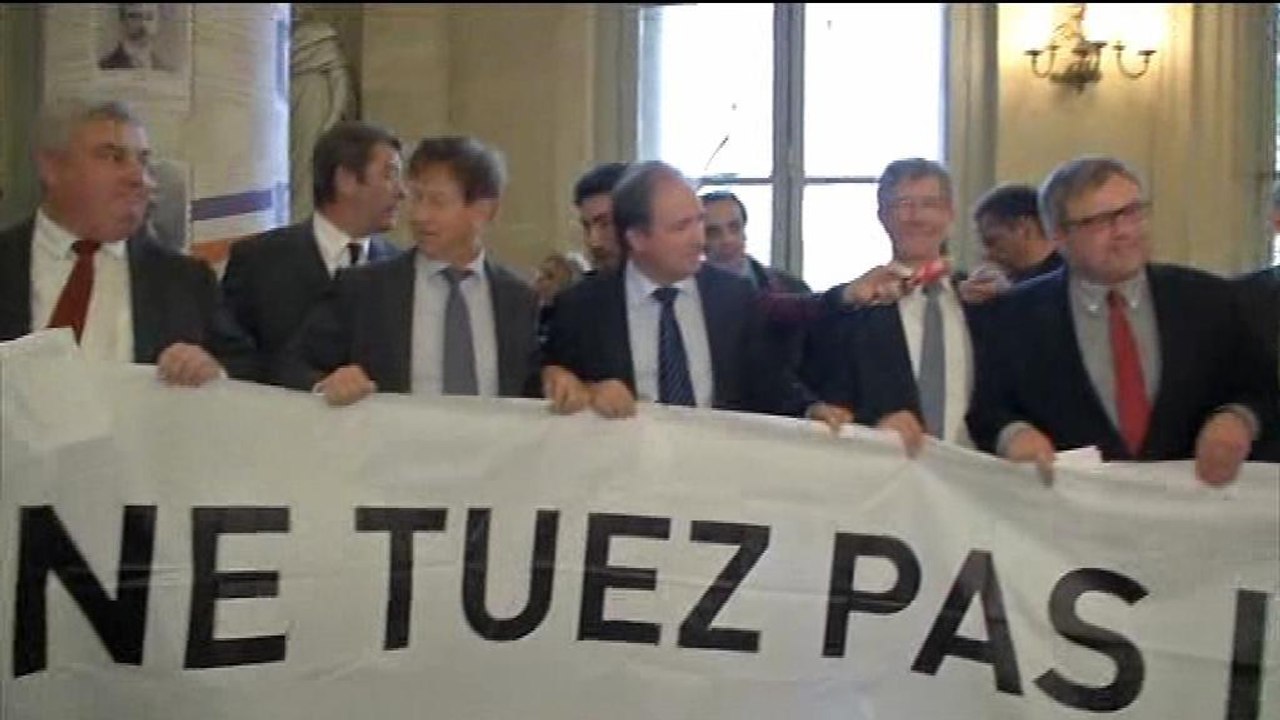 "Ne tuez pas l'Alsace": les UMP alsaciens manifestent à l'Assemblée