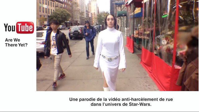 Des chatons comme thérapie anti-stress - Le Zapping insolite