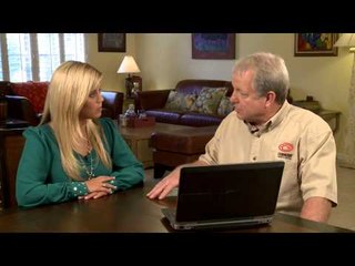 Termite Solutions for Today's Homeowners