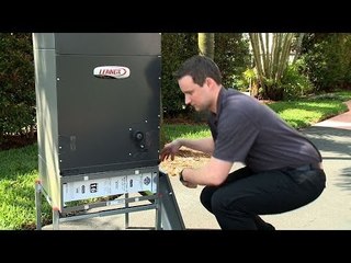 Creating a Comfortable Living Space