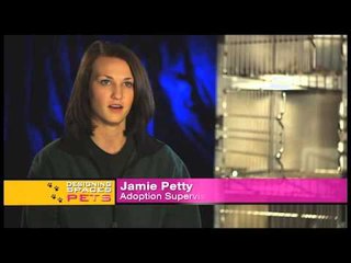 Software for Managing Animal Shelter Paperwork