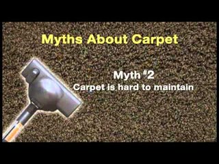 Information You Need to Know About Carpeting