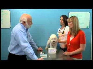 Risks of Over-vaccinating Pets