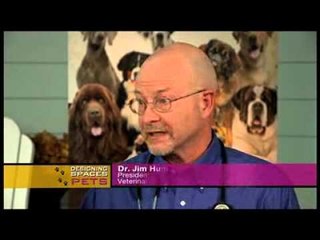 Pet Surrenders Due to Unresolved Skin Allergies