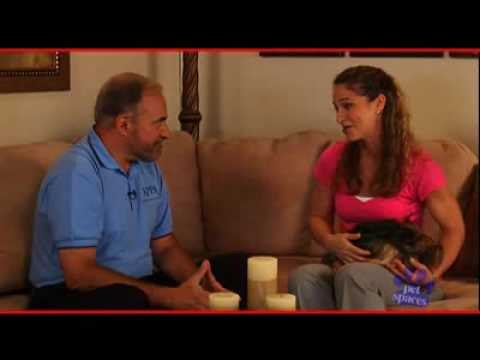 Designing Spaces Show 2102 - American Pet Project Association - Rewards of Pet Ownership