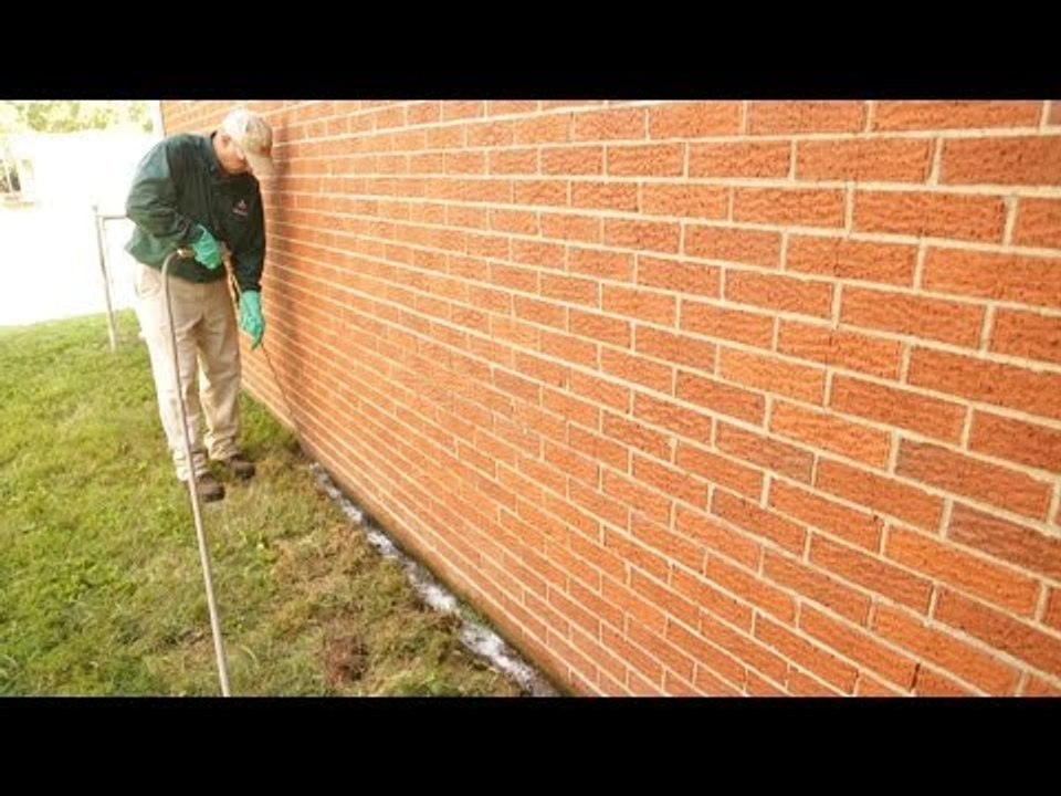 Protecting Your Greatest Investment: Termite Solutions for Today's Homeowners"