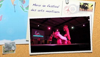 Meru 4e festival des arts martiaux