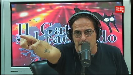 Il gatto sul raccordo - 19 novembre 2014