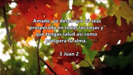 3 Juan 2 ( 1001 Promesas Biblicas ) Sanidad