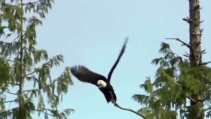 KARTAL AVINI YAKALAMA ANI