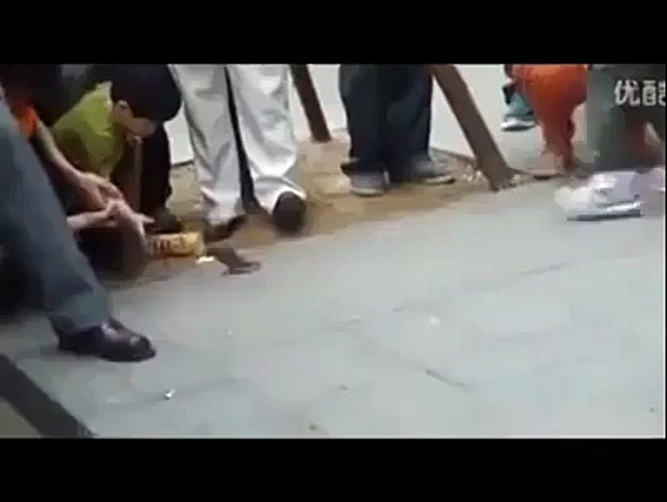 Amazing birds-birds of paradise-fly birds videos-funny videos.