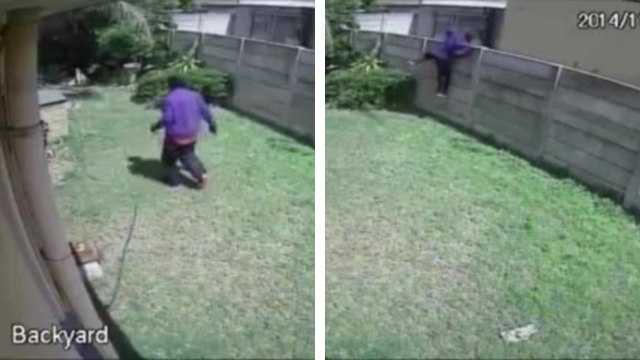 Un cambrioleur va très vite détaller à cause d'un animal féroce qui garde la maison