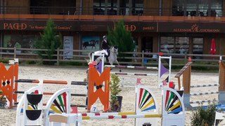 Vendue - Zarkana - Boulerie Jump GP115 - Août 2014