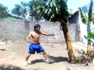 Muay Thay - Palm tree training