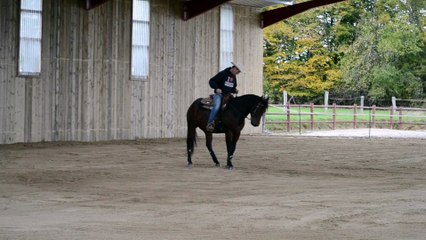 Philippe, cavalier professionel à Sarrebourg