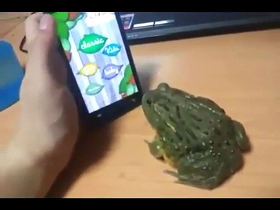 Kurbağa Parmağı Kaptı