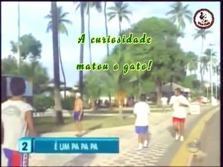 A curiosidade matou o gato!