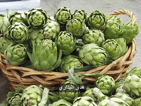 طريقة تحضير القوق معلب او الخرشوف - هدى اليداري