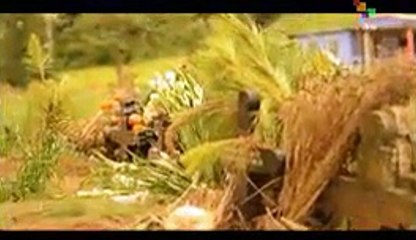 teleSUR Reports - Vayijel: Rock in Tzotzil