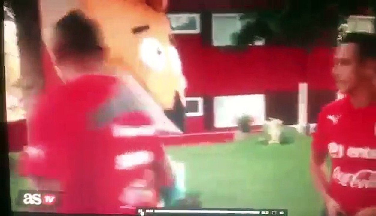 vidal - video de AS Chile