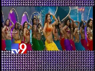 Shruti Haasan too busy in Tamil, telugu and Hindi