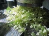 vegetabel salad packing machine salad packaging machine bagging machine