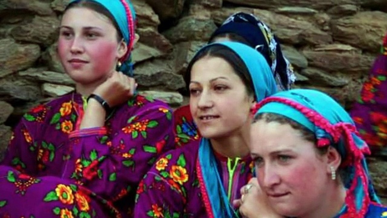 MAHMUT ERDAL-GÜLE BENZER