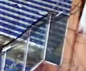 Scontri Genoa - Juve (Drughi - Arditi vs celerini)