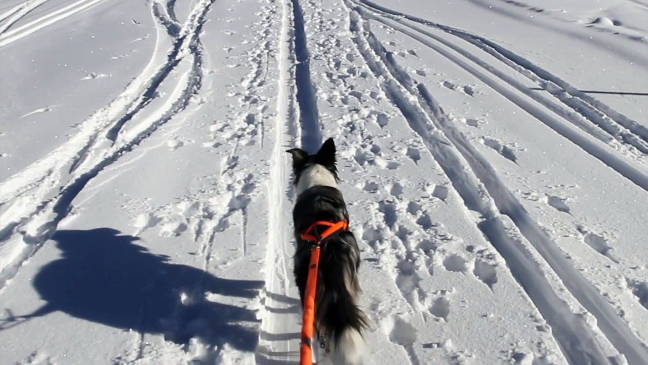 chamrousse ski_1