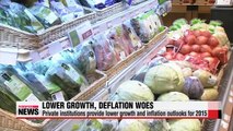 Lower growth, deflation woes mount for Korean economy