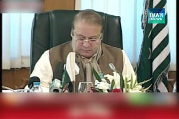 Efforts are being to resolve Kashmir issue, Pm
