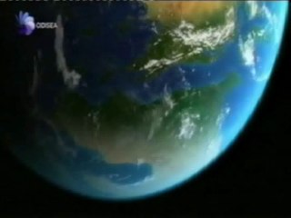 Evolucion de las plantas: La explosion cambrica