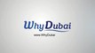 Аренда коммерческой недвижимости в Дубае: рынок офисной недвижимости
